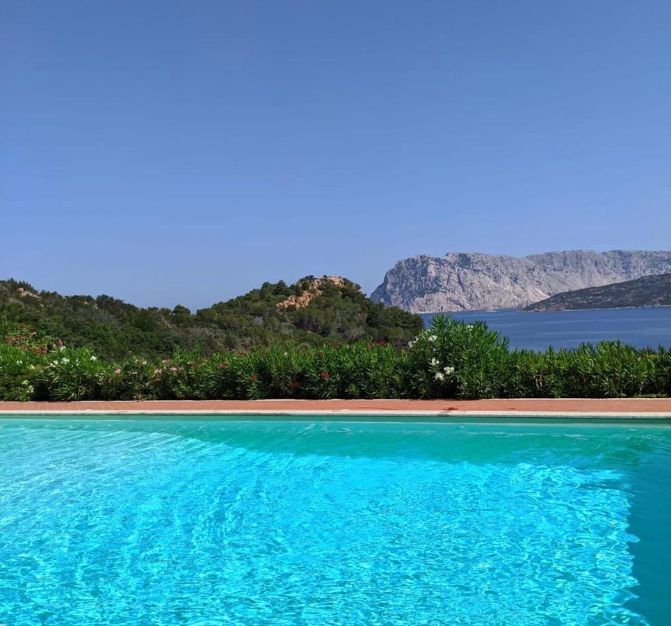 Ferienwohnung San Teodoro Punta Est Ampio Trilocale Vista Mare Capo Coda Cavallo Exterior foto