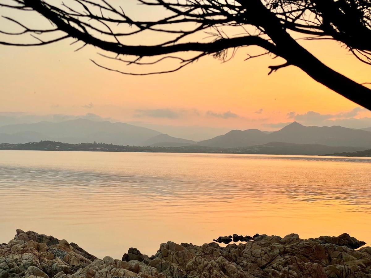 Ferienwohnung San Teodoro Punta Est Ampio Trilocale Vista Mare Capo Coda Cavallo Exterior foto