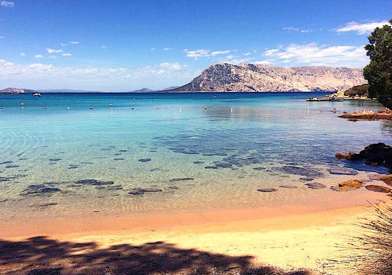 Ferienwohnung San Teodoro Punta Est Ampio Trilocale Vista Mare Capo Coda Cavallo Exterior foto