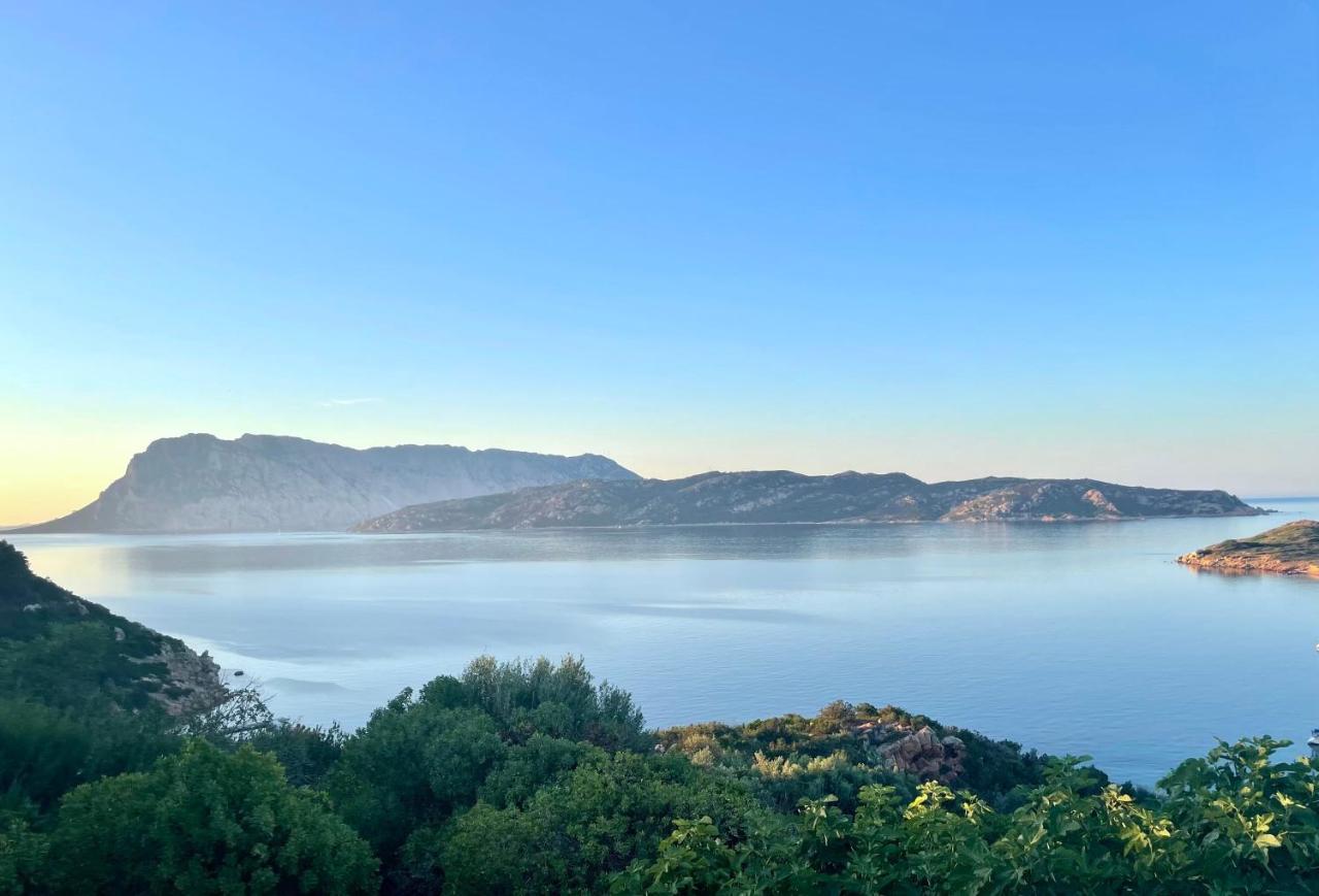 Ferienwohnung San Teodoro Punta Est Ampio Trilocale Vista Mare Capo Coda Cavallo Exterior foto