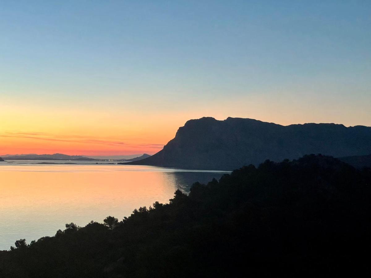 Ferienwohnung San Teodoro Punta Est Ampio Trilocale Vista Mare Capo Coda Cavallo Exterior foto