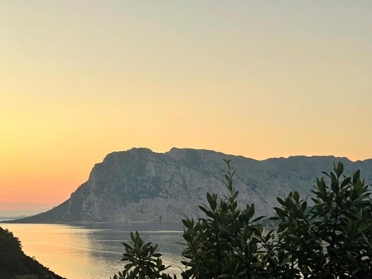 Ferienwohnung San Teodoro Punta Est Ampio Trilocale Vista Mare Capo Coda Cavallo Exterior foto