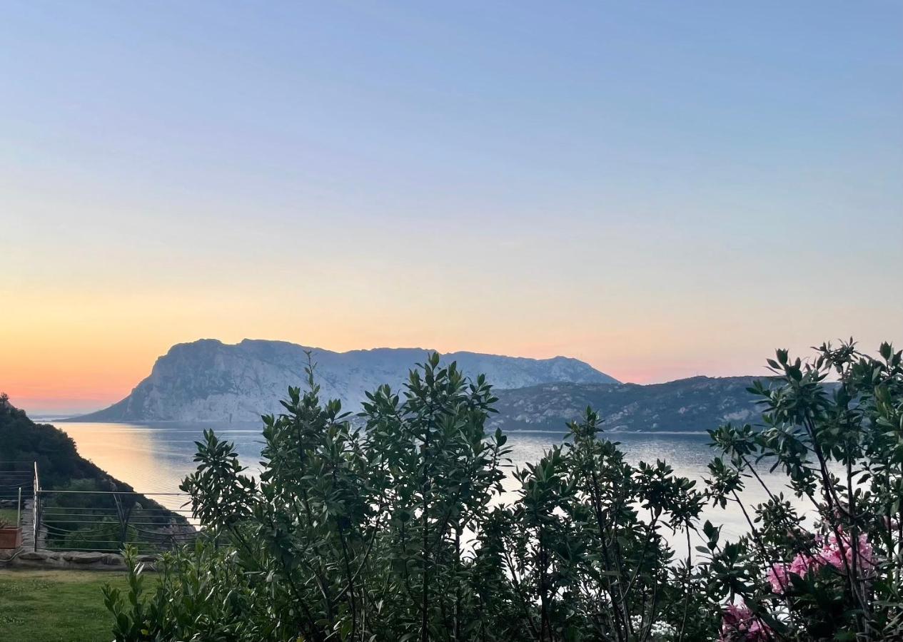 Ferienwohnung San Teodoro Punta Est Ampio Trilocale Vista Mare Capo Coda Cavallo Exterior foto