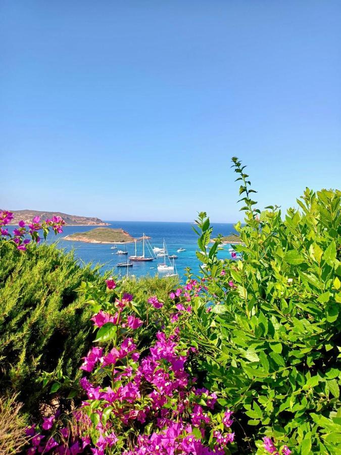 Ferienwohnung San Teodoro Punta Est Ampio Trilocale Vista Mare Capo Coda Cavallo Exterior foto